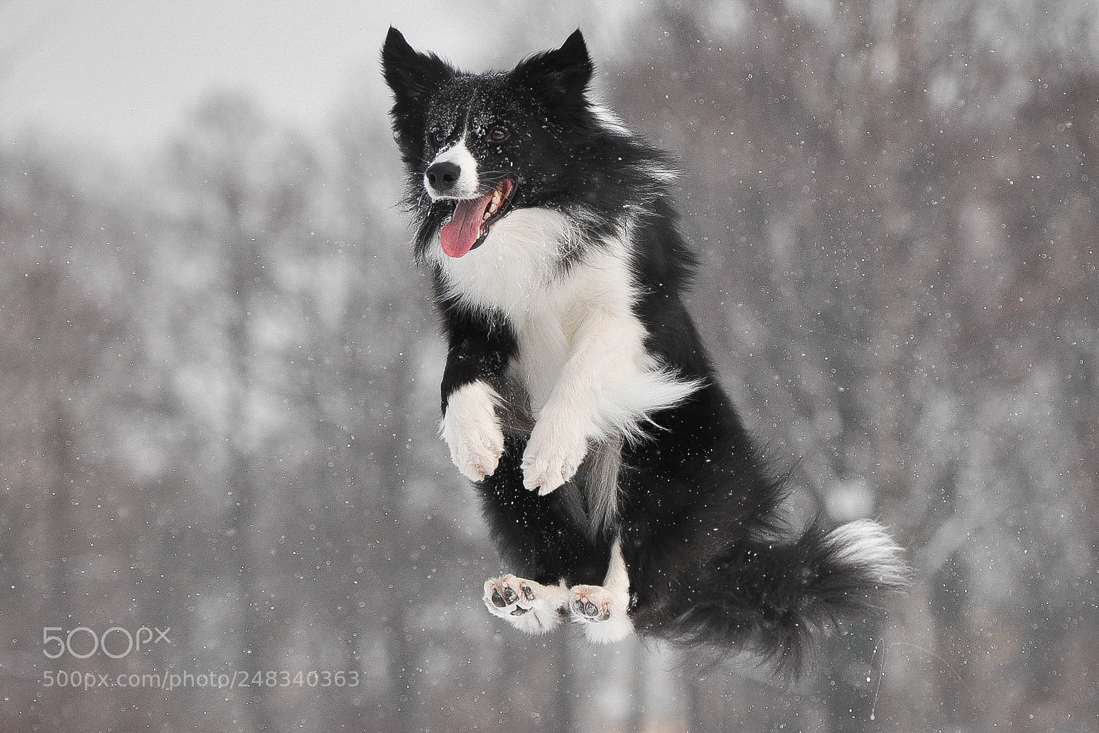 Nikon D90 sample photo. Jump! photography