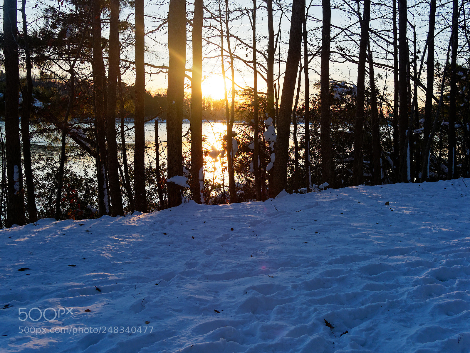 Olympus OM-D E-M1 Mark II sample photo. Winter setting in photography