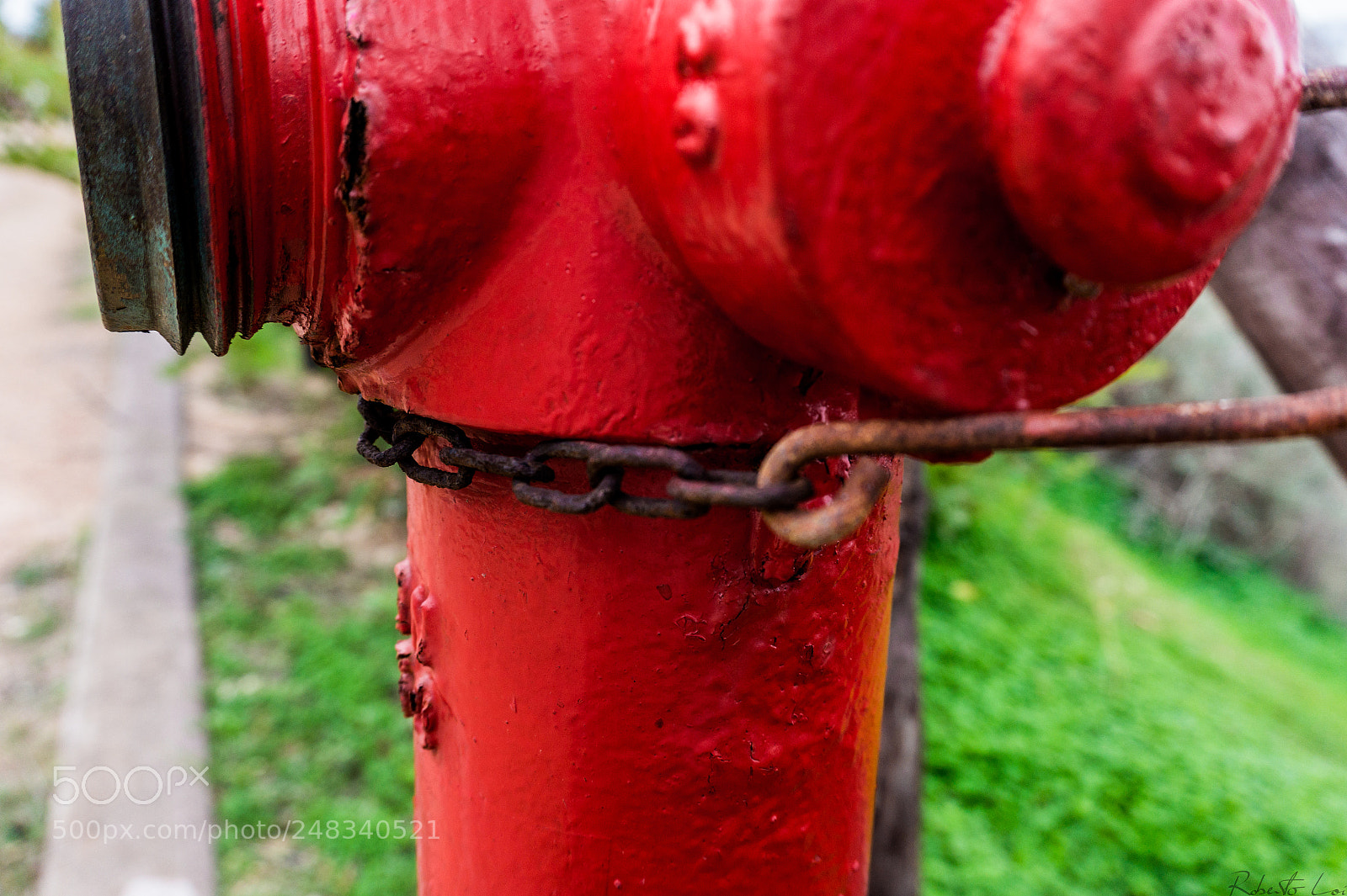 Sony Alpha a5000 (ILCE 5000) sample photo. _dsc2015-1.jpg photography