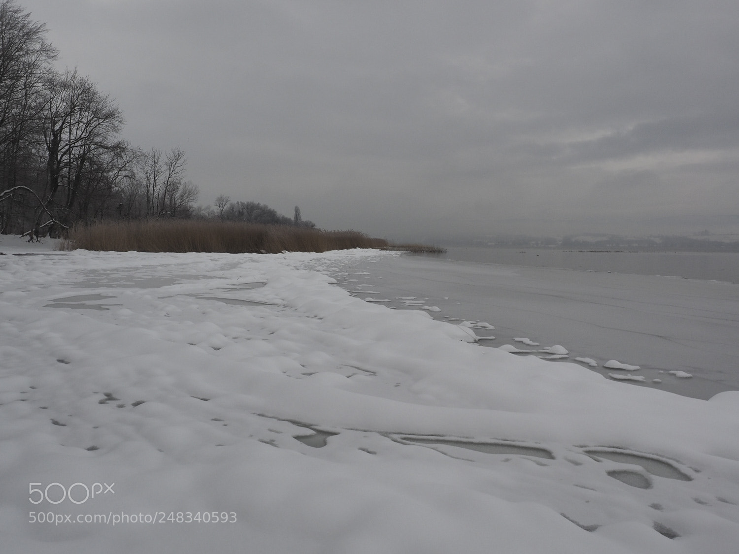 Olympus OM-D E-M1 sample photo. Murtensee im winter photography