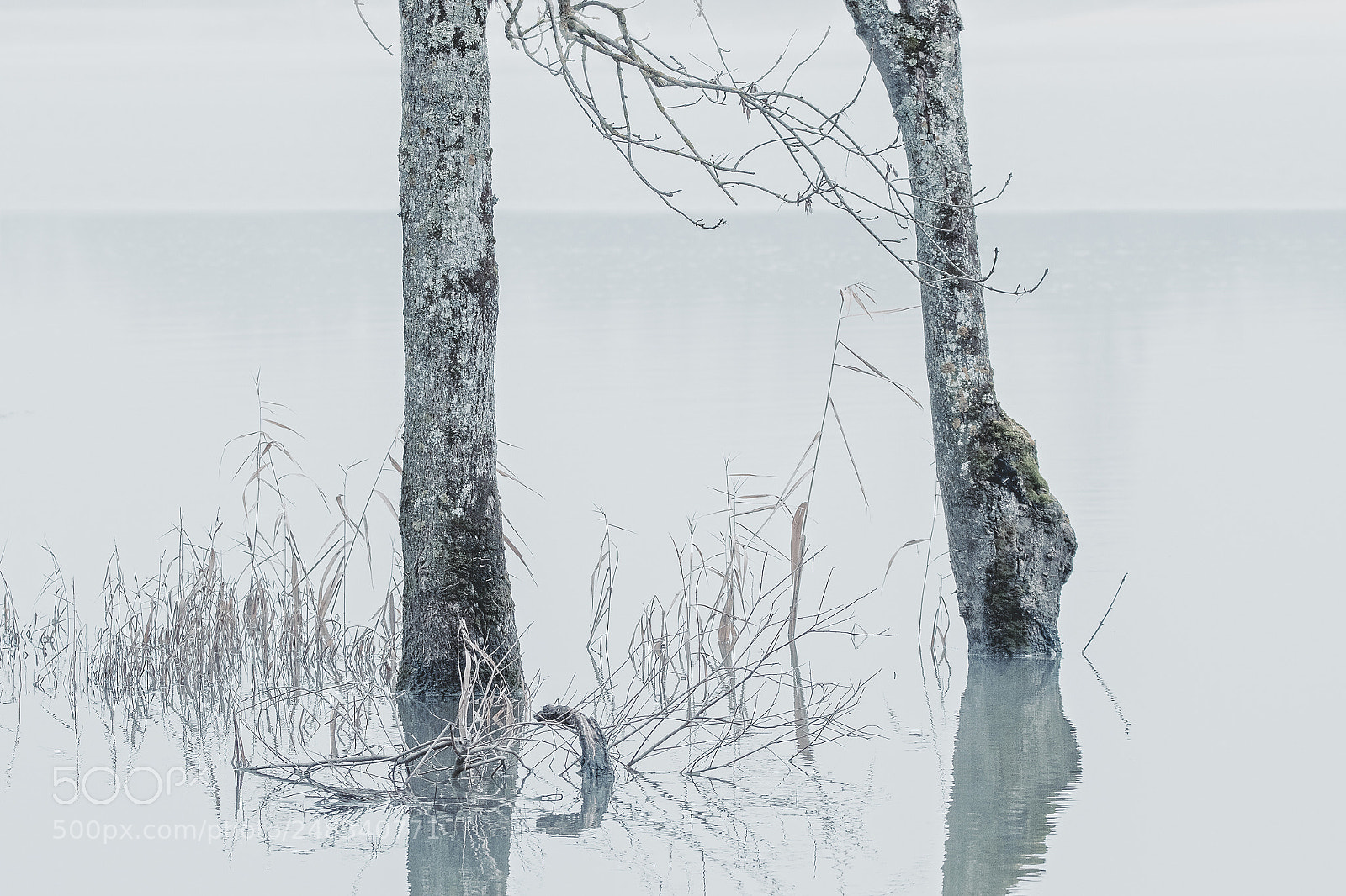 Canon EOS 7D sample photo. Epier dans l'eau photography