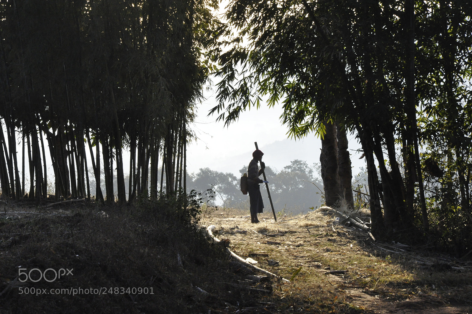 Nikon D90 sample photo. Shan state,myanmar photography
