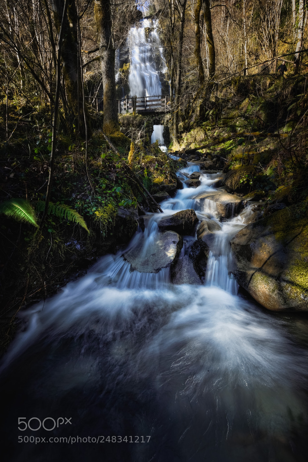 Nikon D810 sample photo. Many endings are a photography