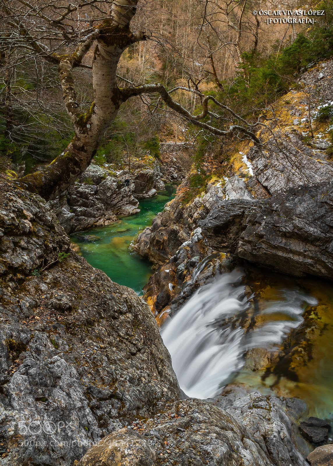 Canon EOS 7D sample photo. "dreamed beech" photography