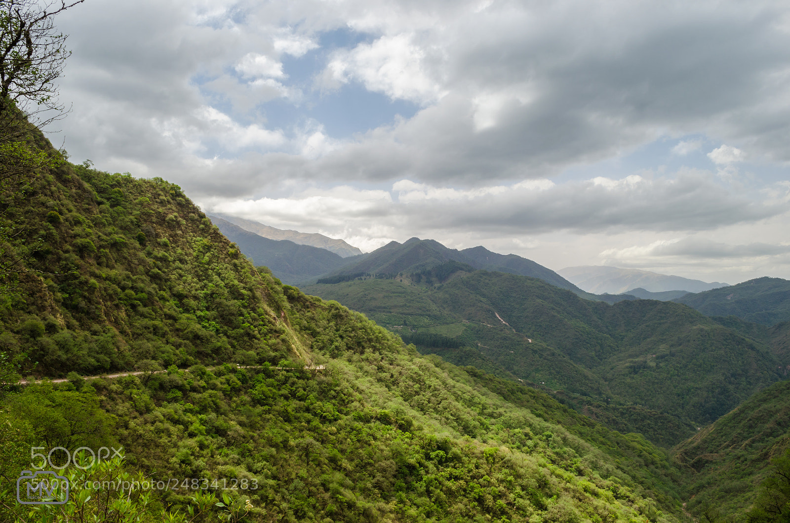 Nikon D5100 sample photo. Yungas en laguna de photography