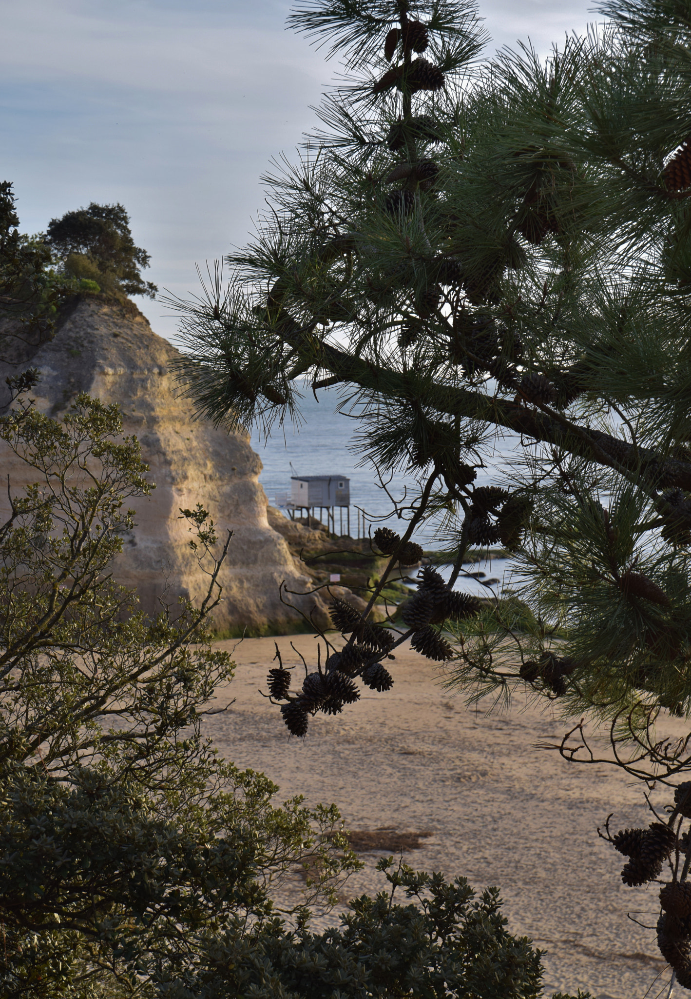 Nikon D5300 sample photo. Mechers photography