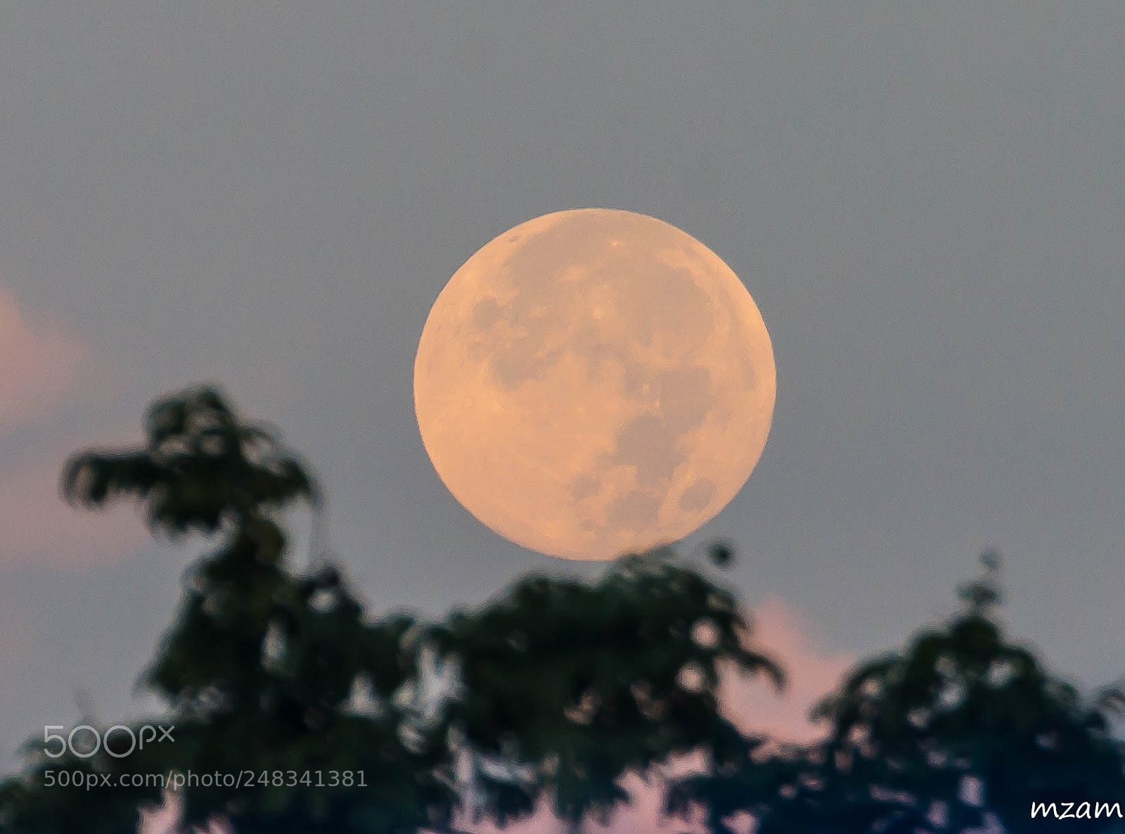 Canon EOS 1100D (EOS Rebel T3 / EOS Kiss X50) sample photo. The glowing moon. photography