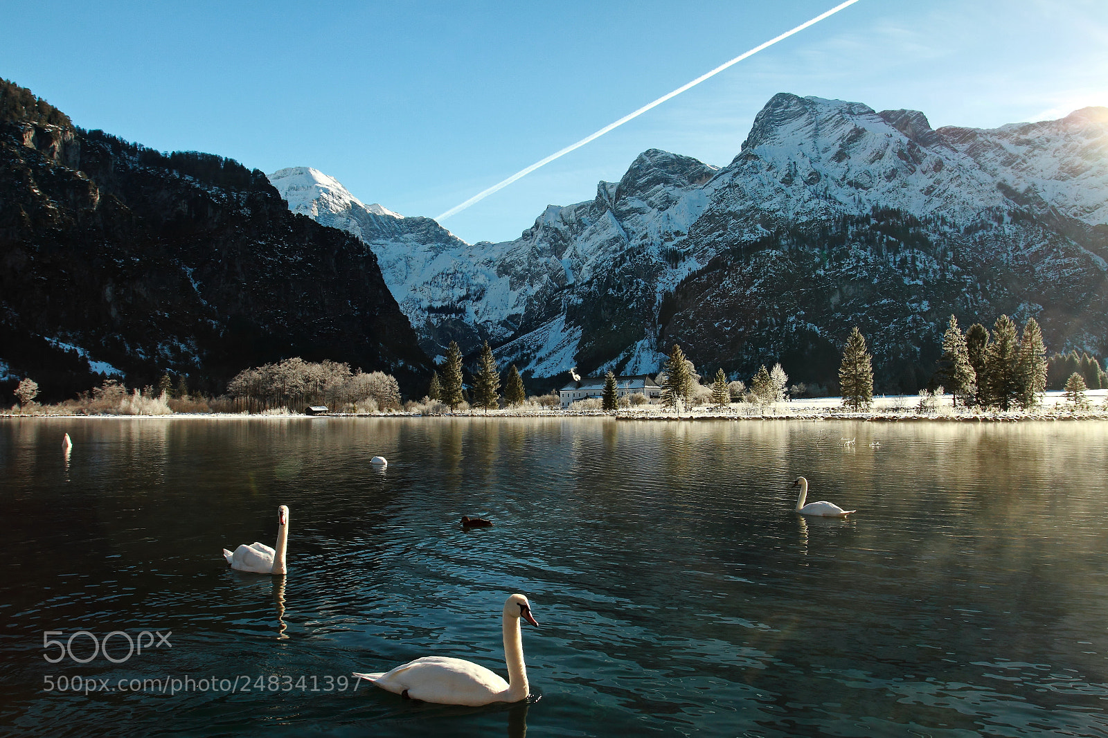 Canon EOS 7D + Canon EF 17-40mm F4L USM sample photo. Smoke and swans on photography