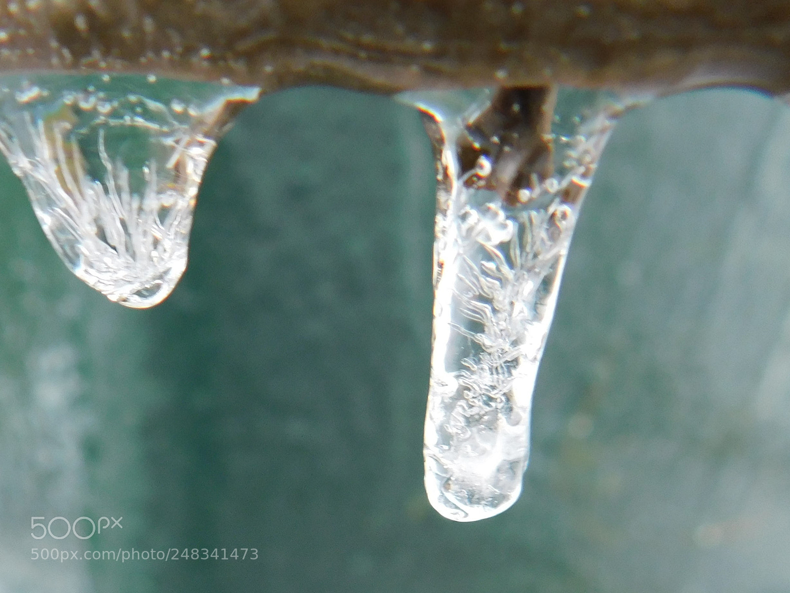 Nikon Coolpix B500 sample photo. Patterns in ice photography