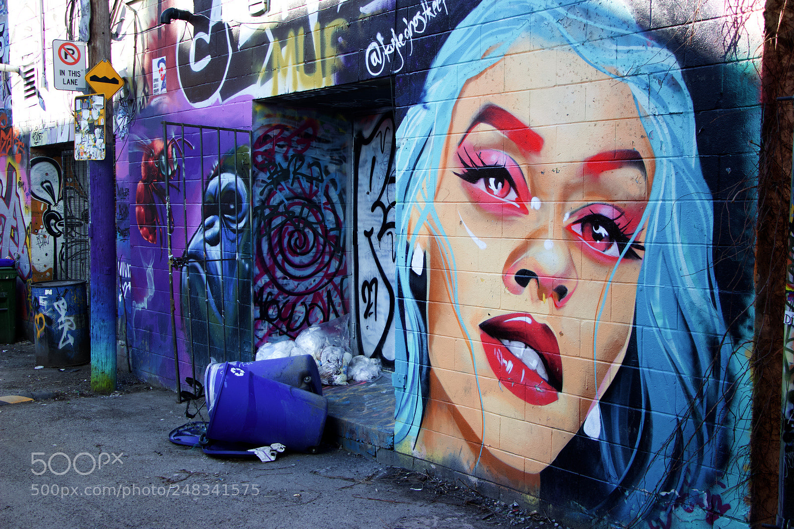 Canon EOS 650D (EOS Rebel T4i / EOS Kiss X6i) sample photo. No parking in toronto photography