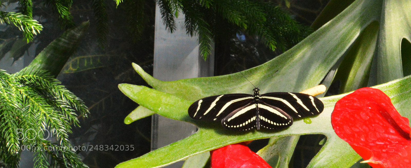 Nikon D3200 sample photo. Dsc photography