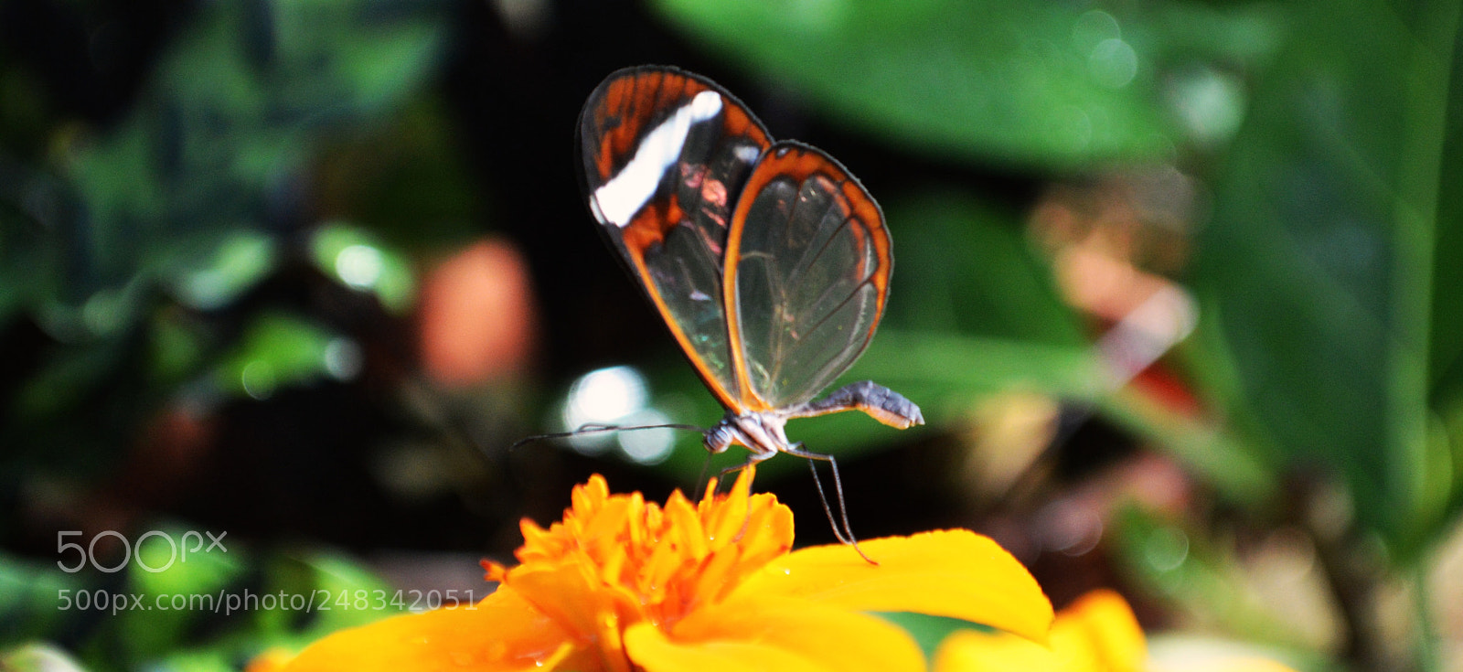 Nikon D3200 sample photo. Dsc photography