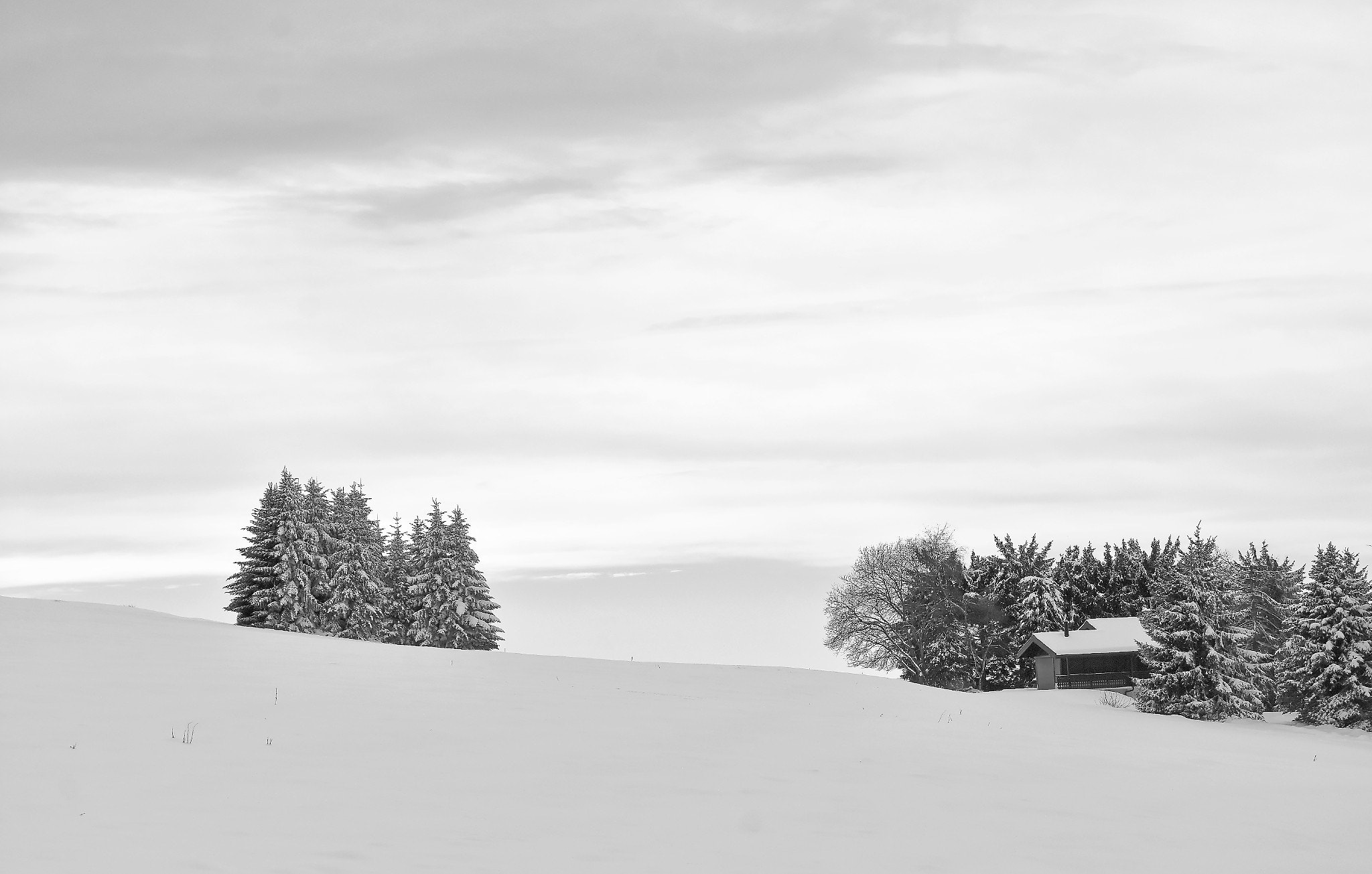 Nikon D7200 sample photo. Still winter photography