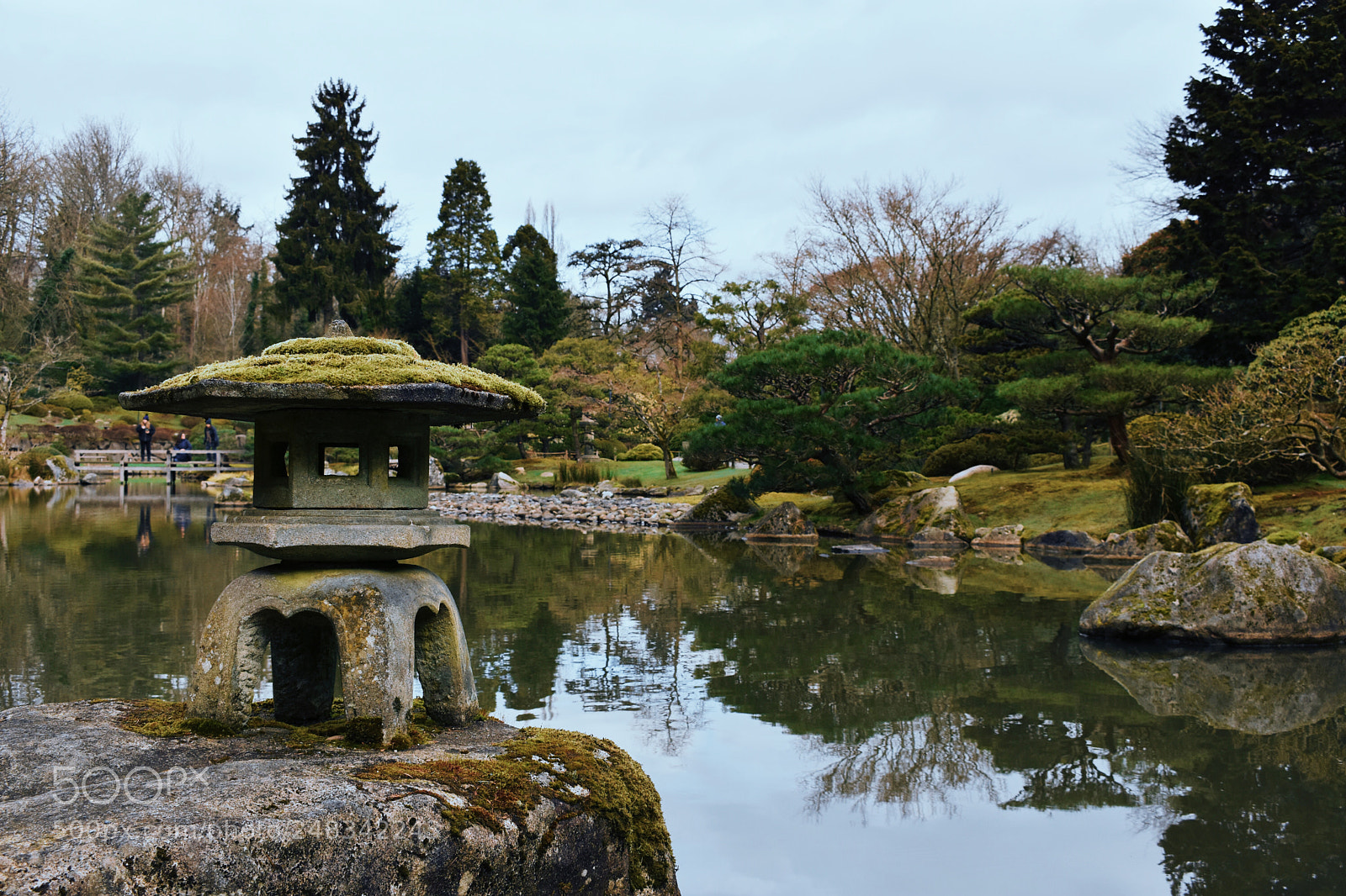 Nikon D7200 sample photo. 静けさ. photography