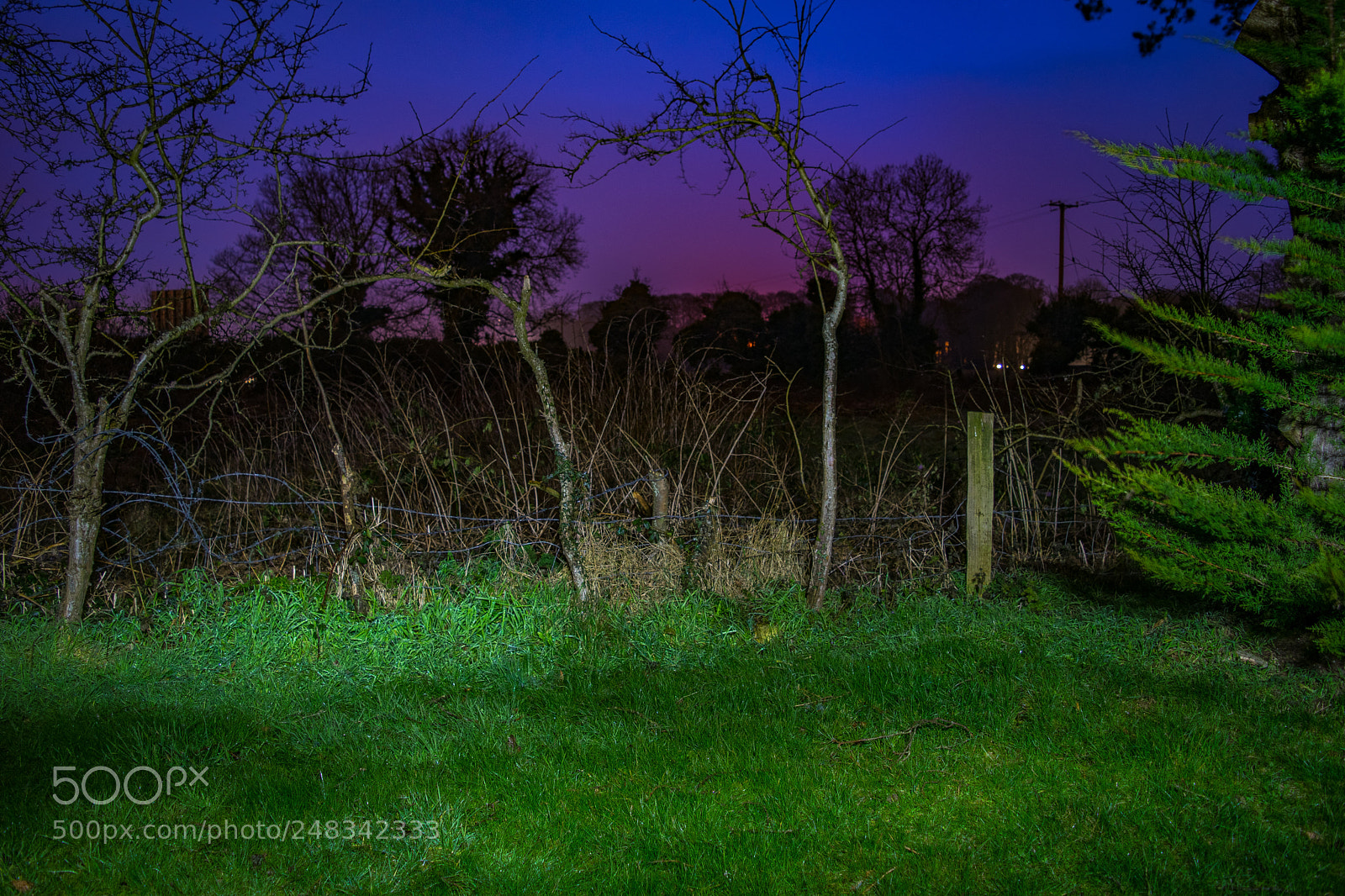 Nikon D5300 sample photo. Long exposure , playing photography
