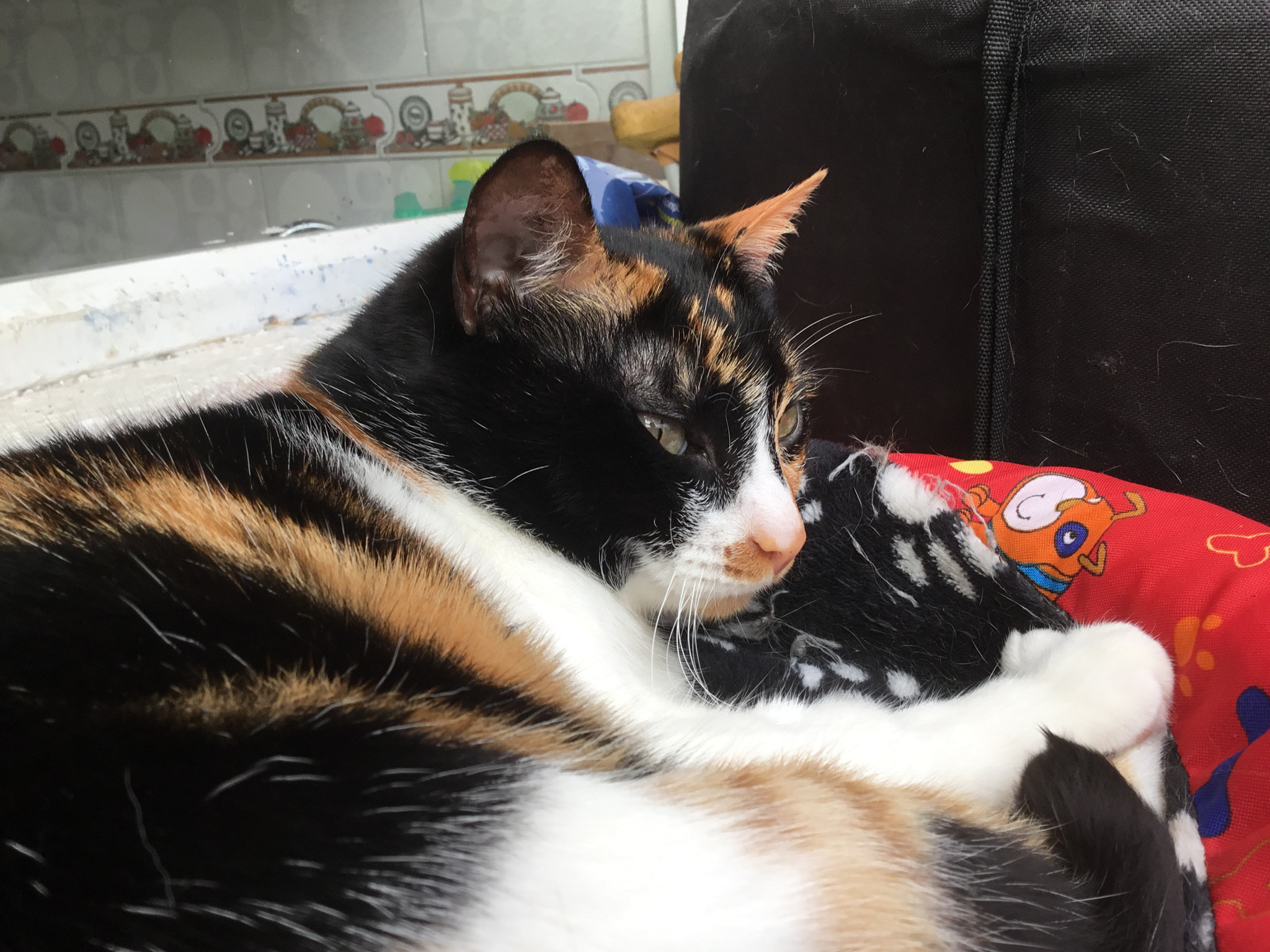 Apple iPad (5th generation) sample photo