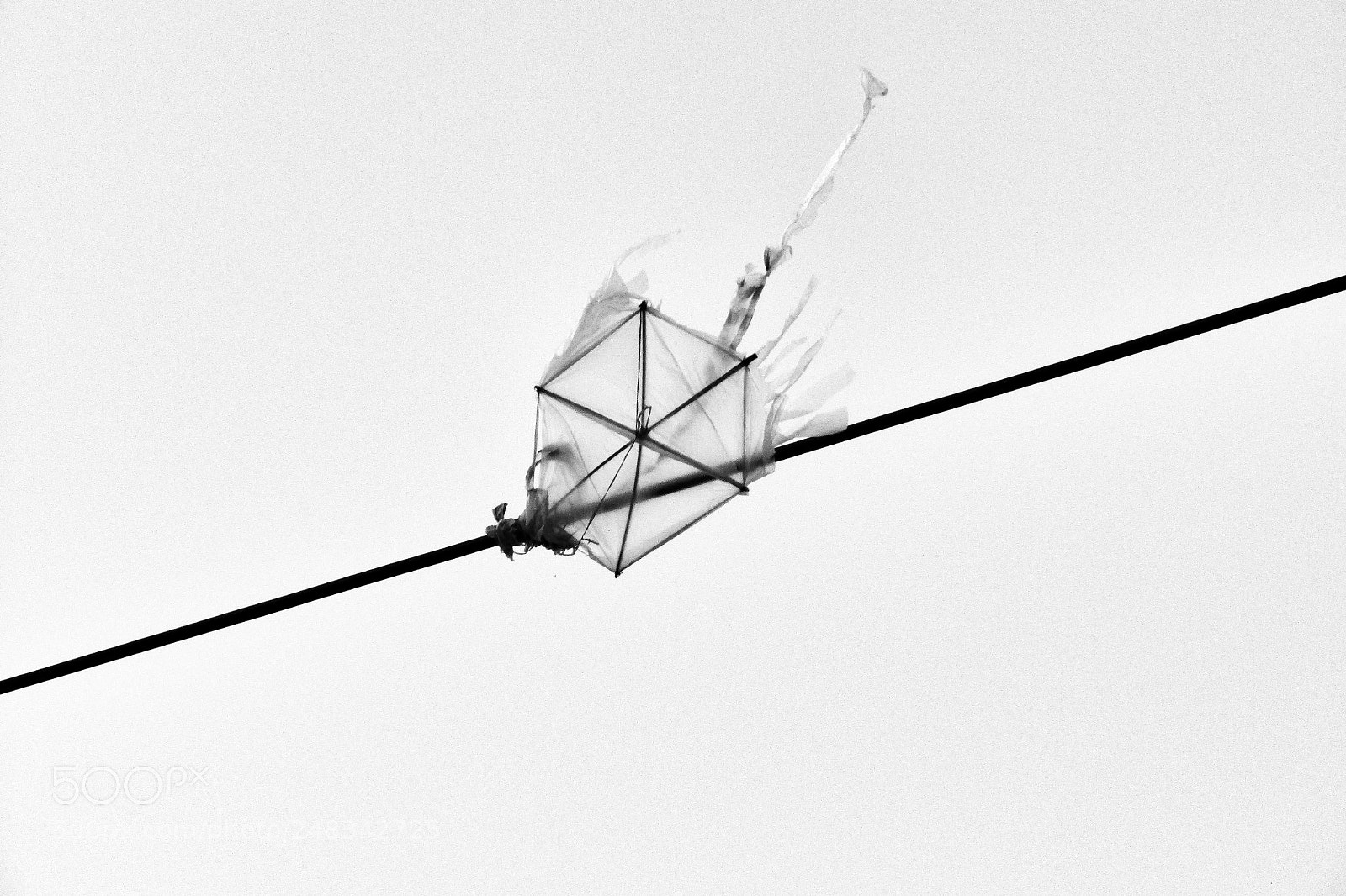 Canon PowerShot SX410 IS sample photo. Untitled photography