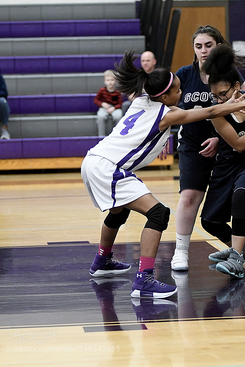 Nikon D500 sample photo. 2-27_1145.jpg photography