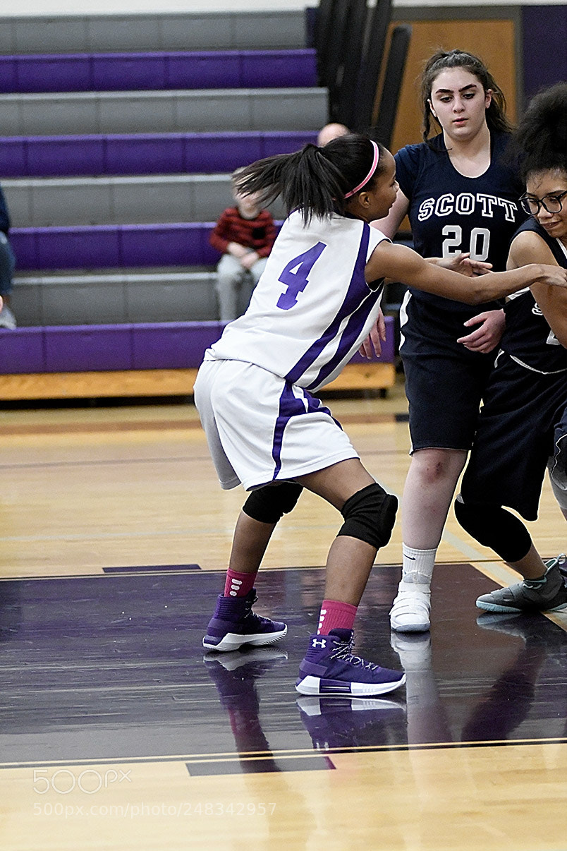 Nikon D500 sample photo. 2-27_1146.jpg photography