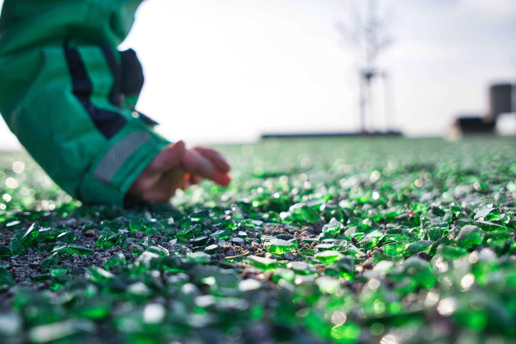 Sony a6000 + Sigma 19mm F2.8 EX DN sample photo. The magic path full of gemstones photography