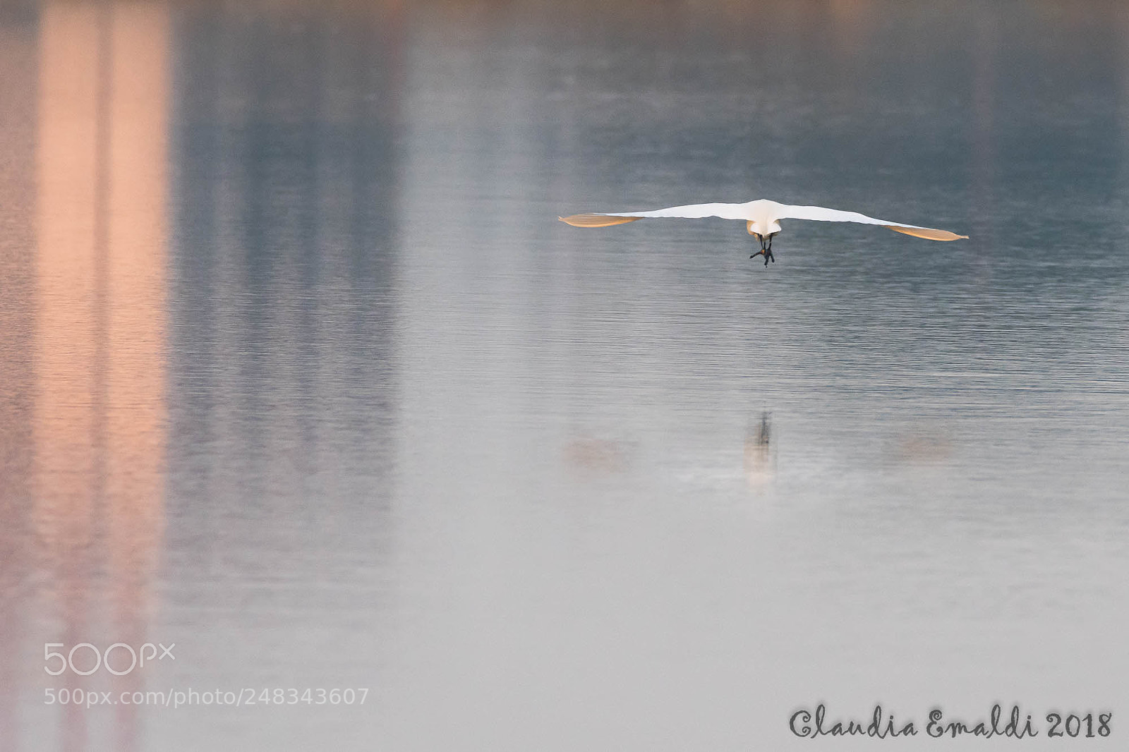 Nikon D500 sample photo. Saline di cervia photography