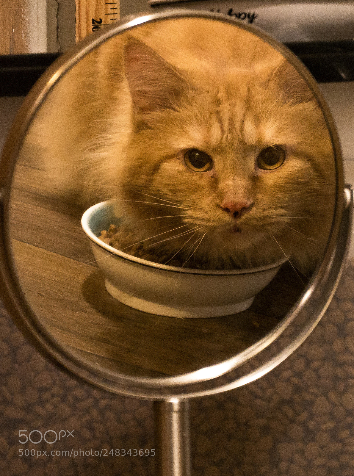 Panasonic Lumix DMC-G85 (Lumix DMC-G80) sample photo. Reflection photography