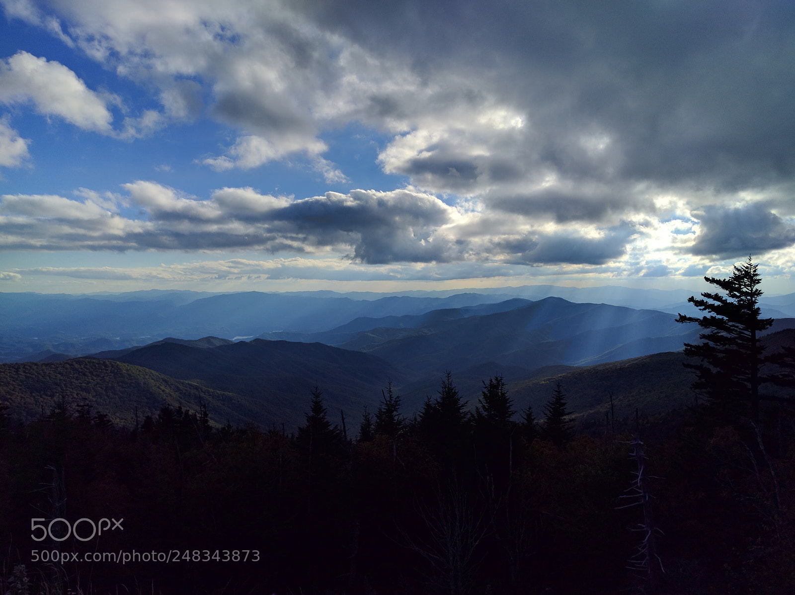 Google Nexus 6P sample photo. Clingmans dome photography