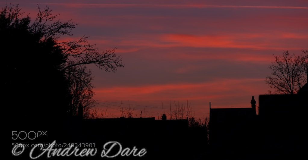 Nikon D810 sample photo. Sunset over the rooftops photography