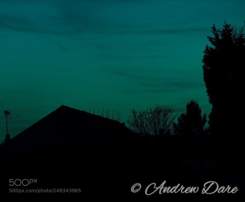 Nikon D810 sample photo. Sunset over the rooftops photography
