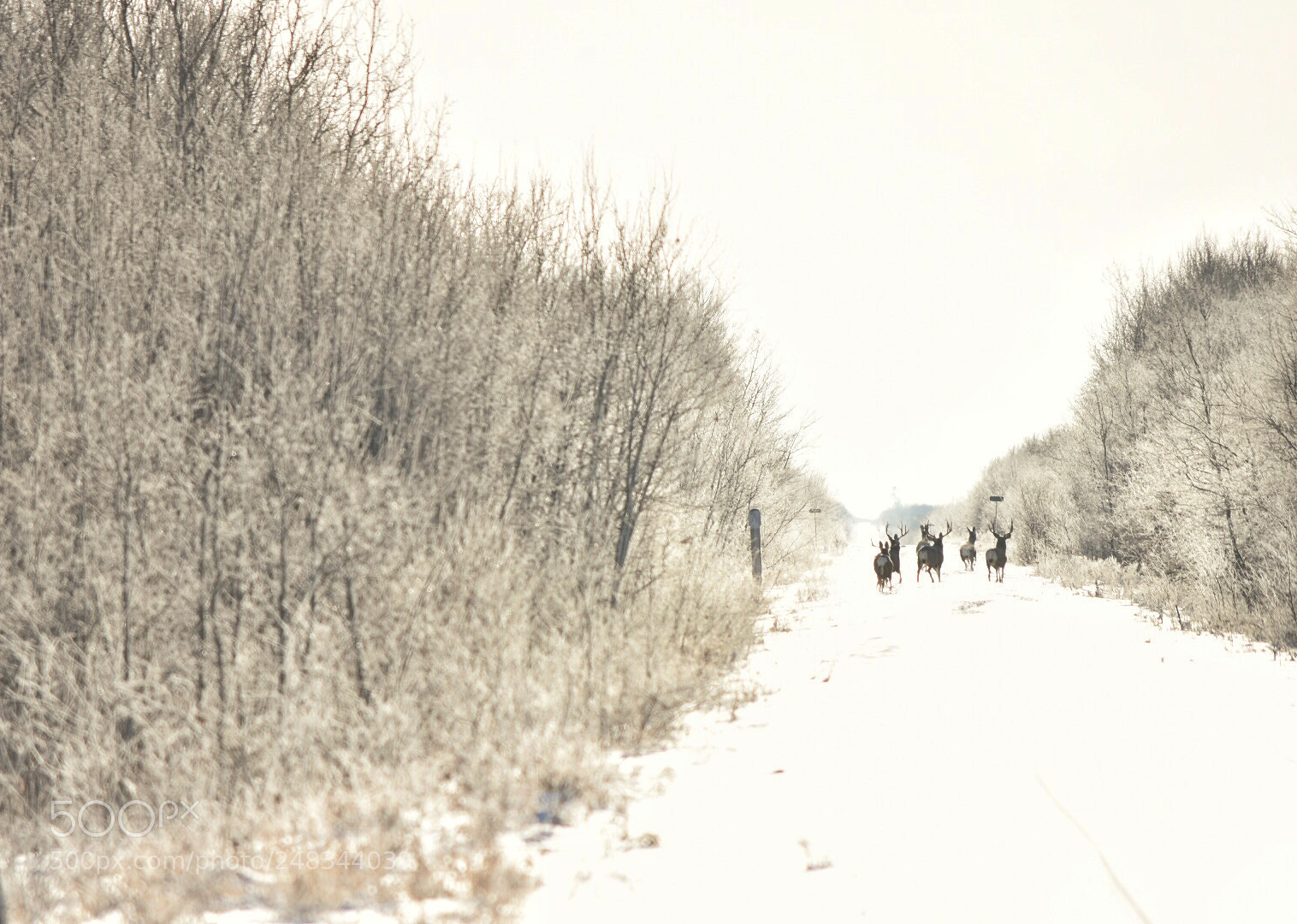 Nikon D7200 sample photo. Untitled photography