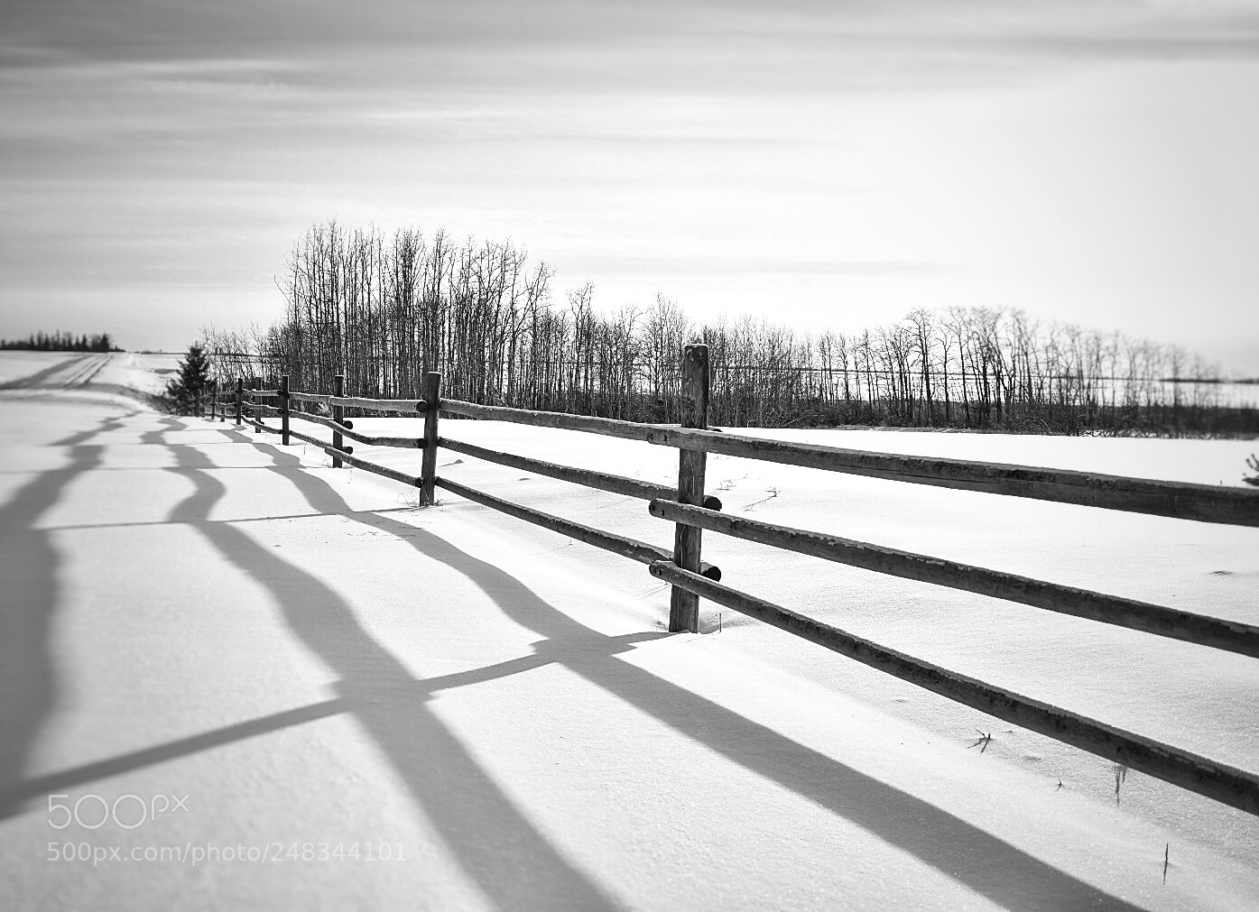 Nikon D7200 sample photo. Untitled photography