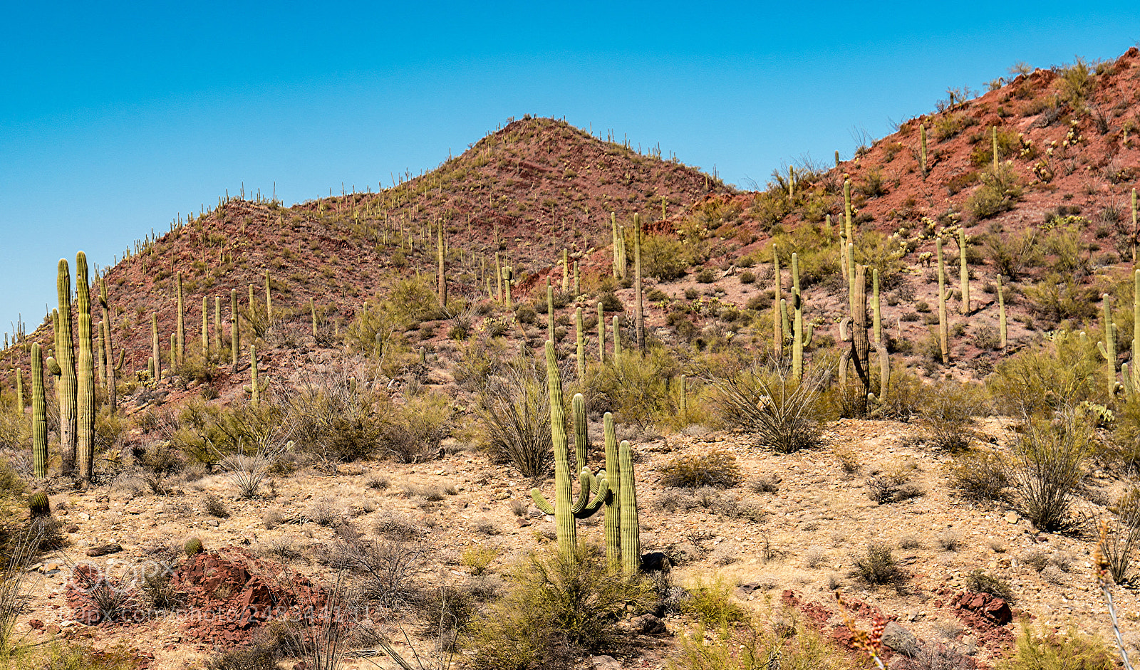 Sony a6300 sample photo. Arizona desert mountains photography