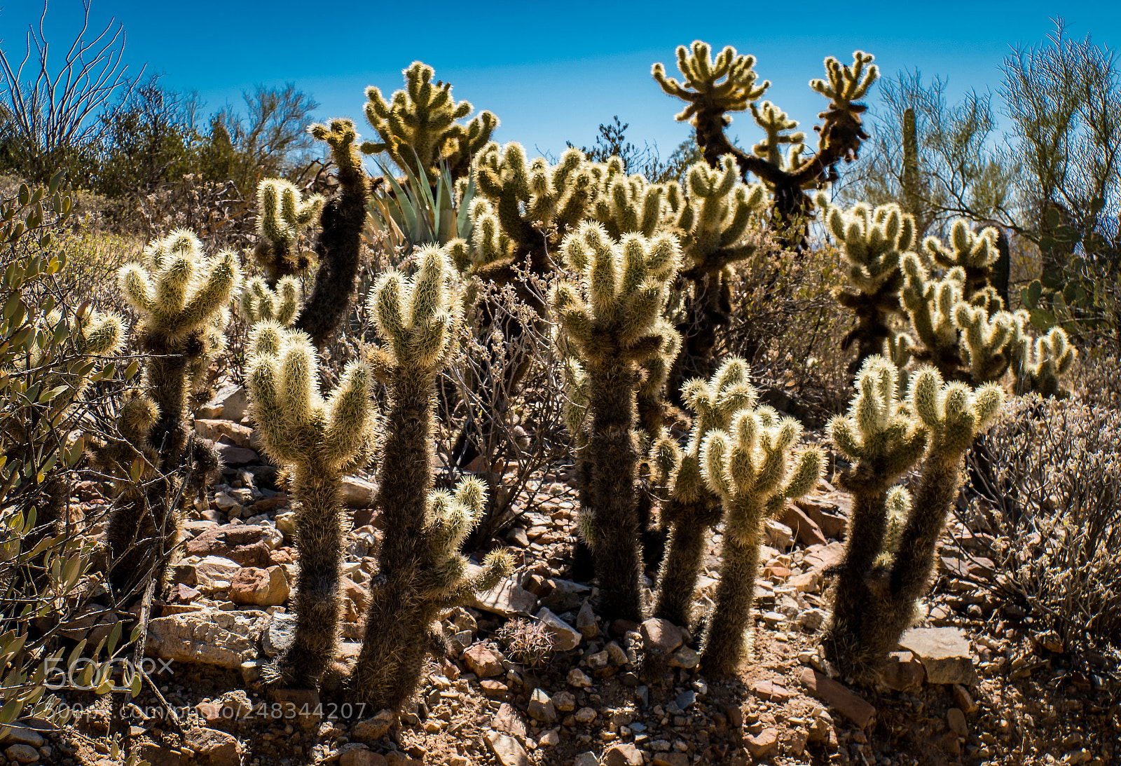 Sony a6300 sample photo. Arizona desert mountains photography