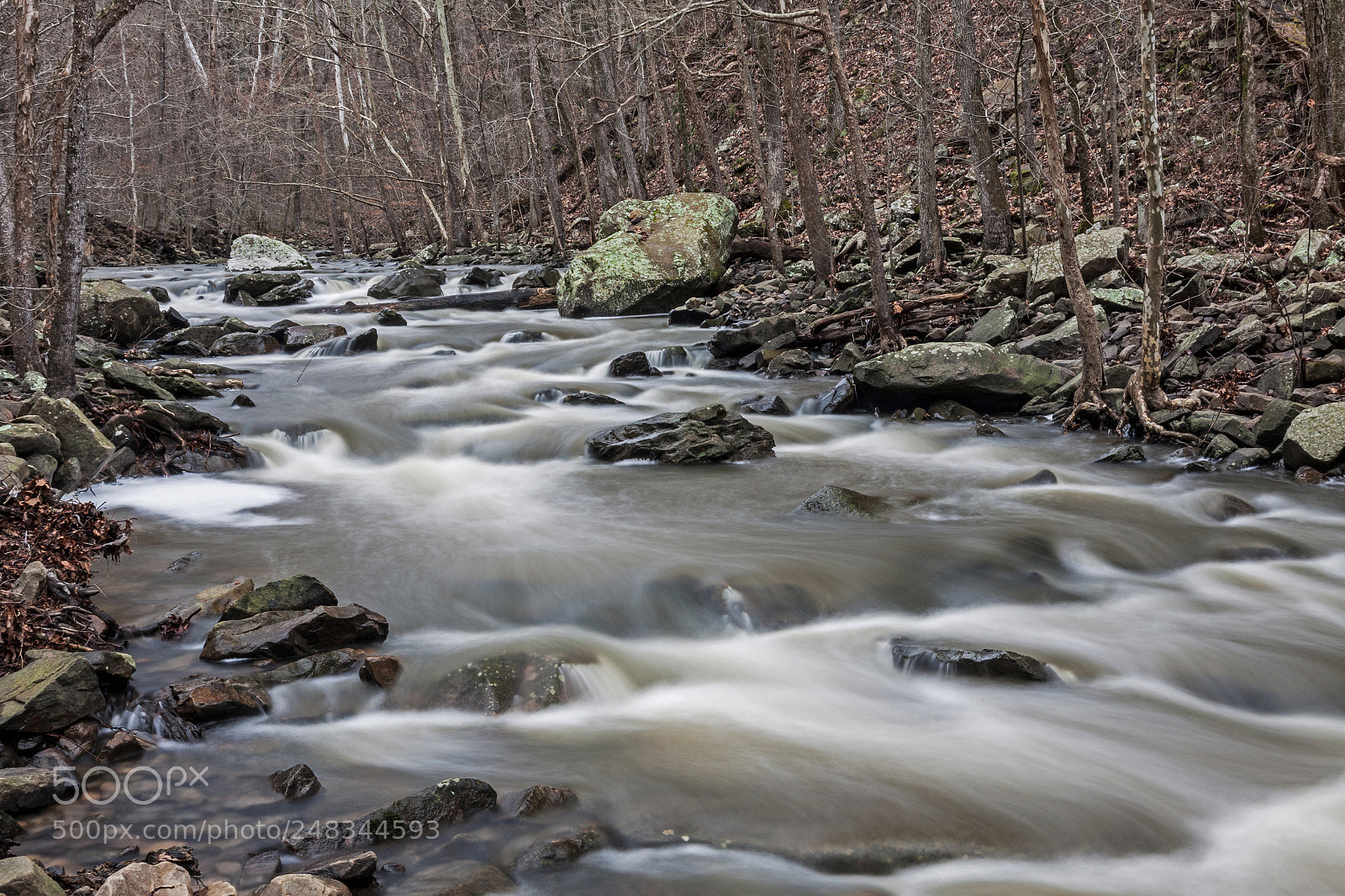 Canon EOS 50D sample photo. Cedar creek early spring photography