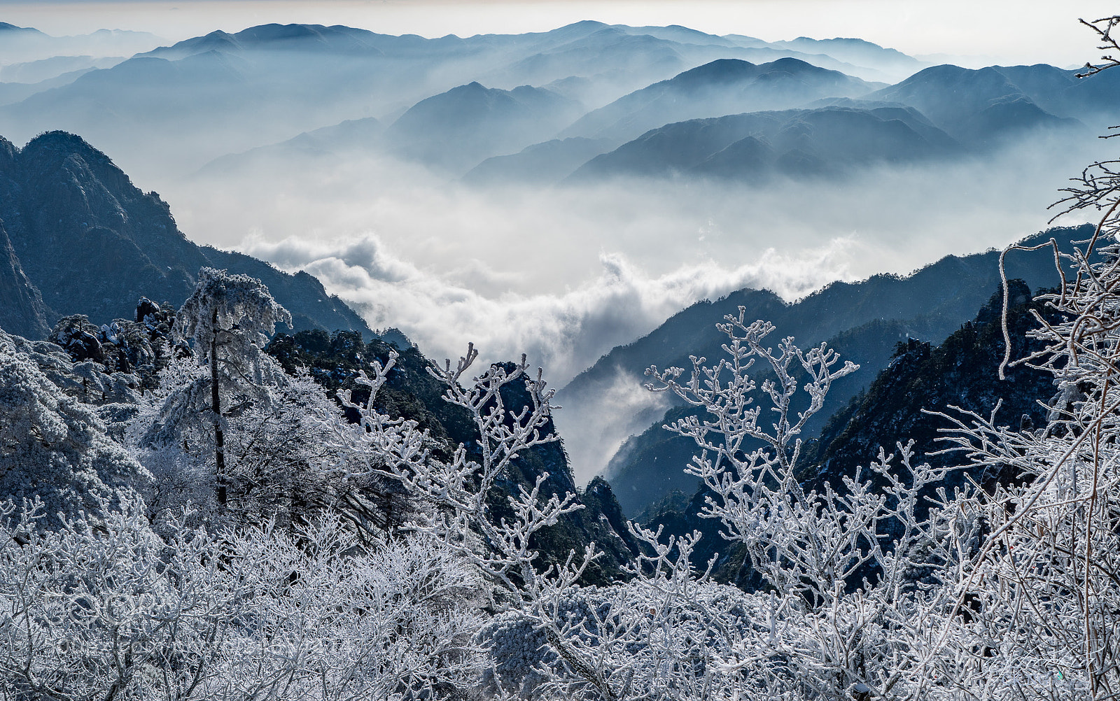 Sony a9 sample photo. 雪凇 snow yuki ii 黃山-huangshan-china photography