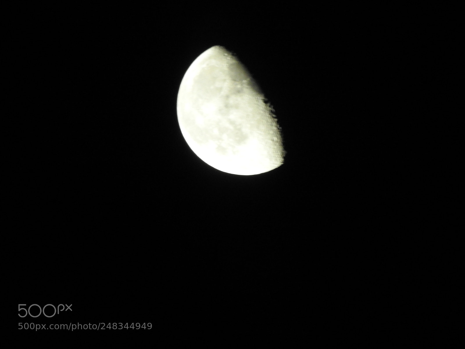 Nikon Coolpix P900 sample photo. Vishh photography