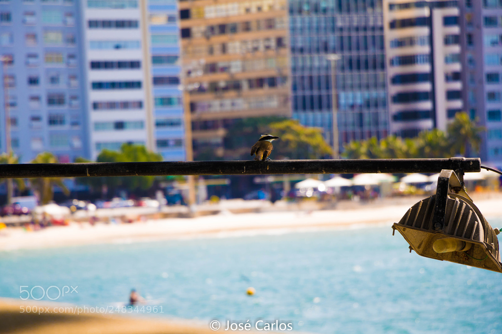 Canon EOS 760D (EOS Rebel T6s / EOS 8000D) sample photo. Mg photography