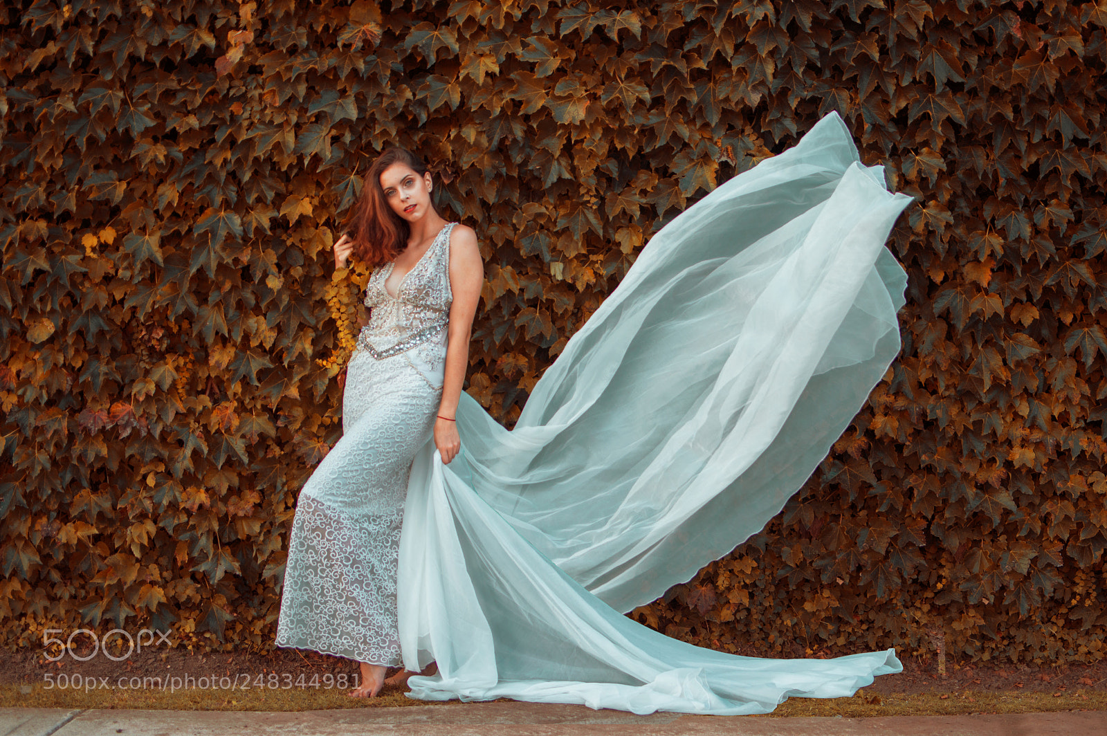 Nikon D3200 sample photo. The bride of autumn photography