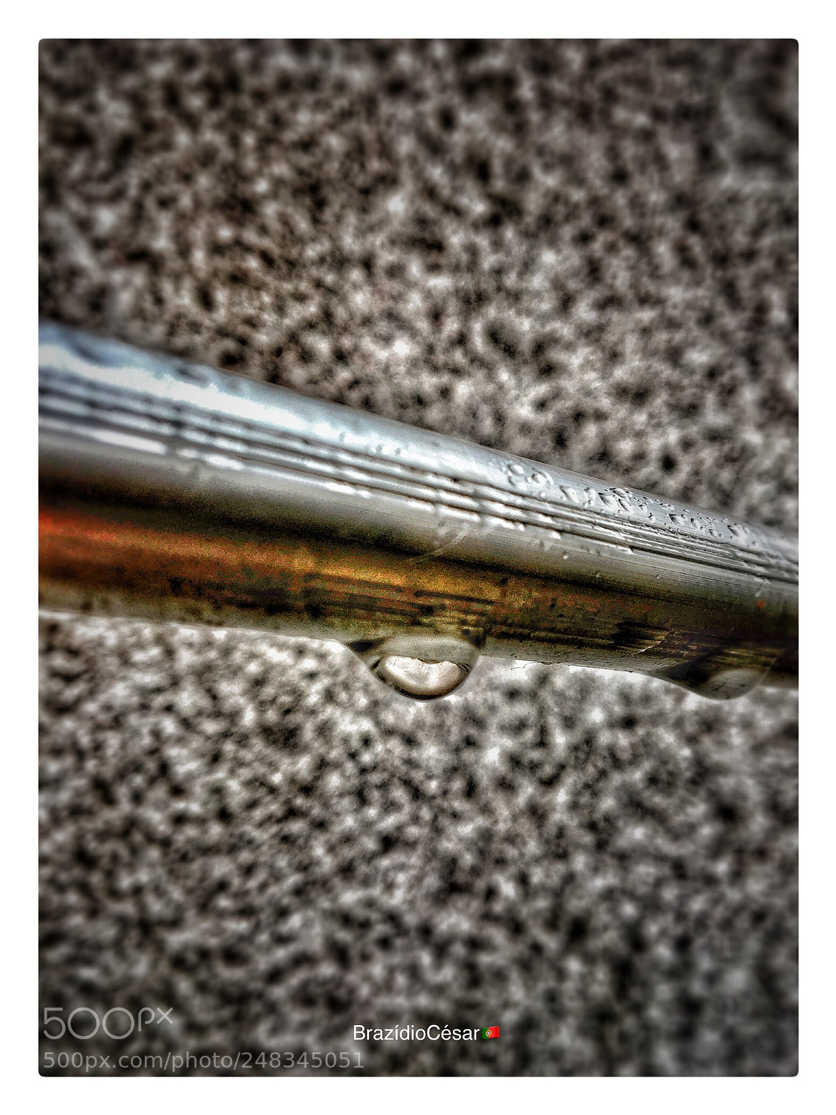 Apple iPhone 6s sample photo. Untitled photography
