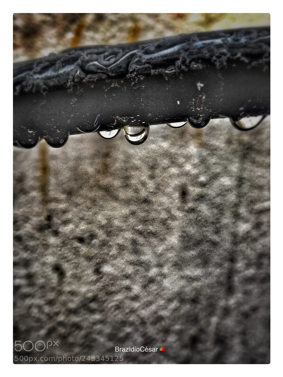 Apple iPhone 6s sample photo. Untitled photography