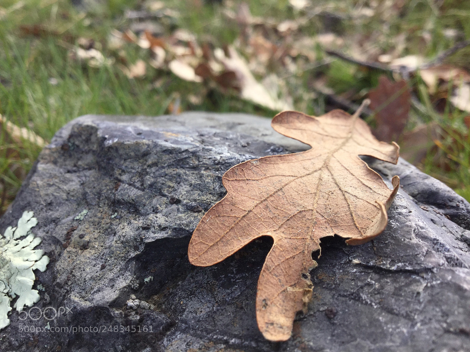 Apple iPod touch sample photo. Img photography