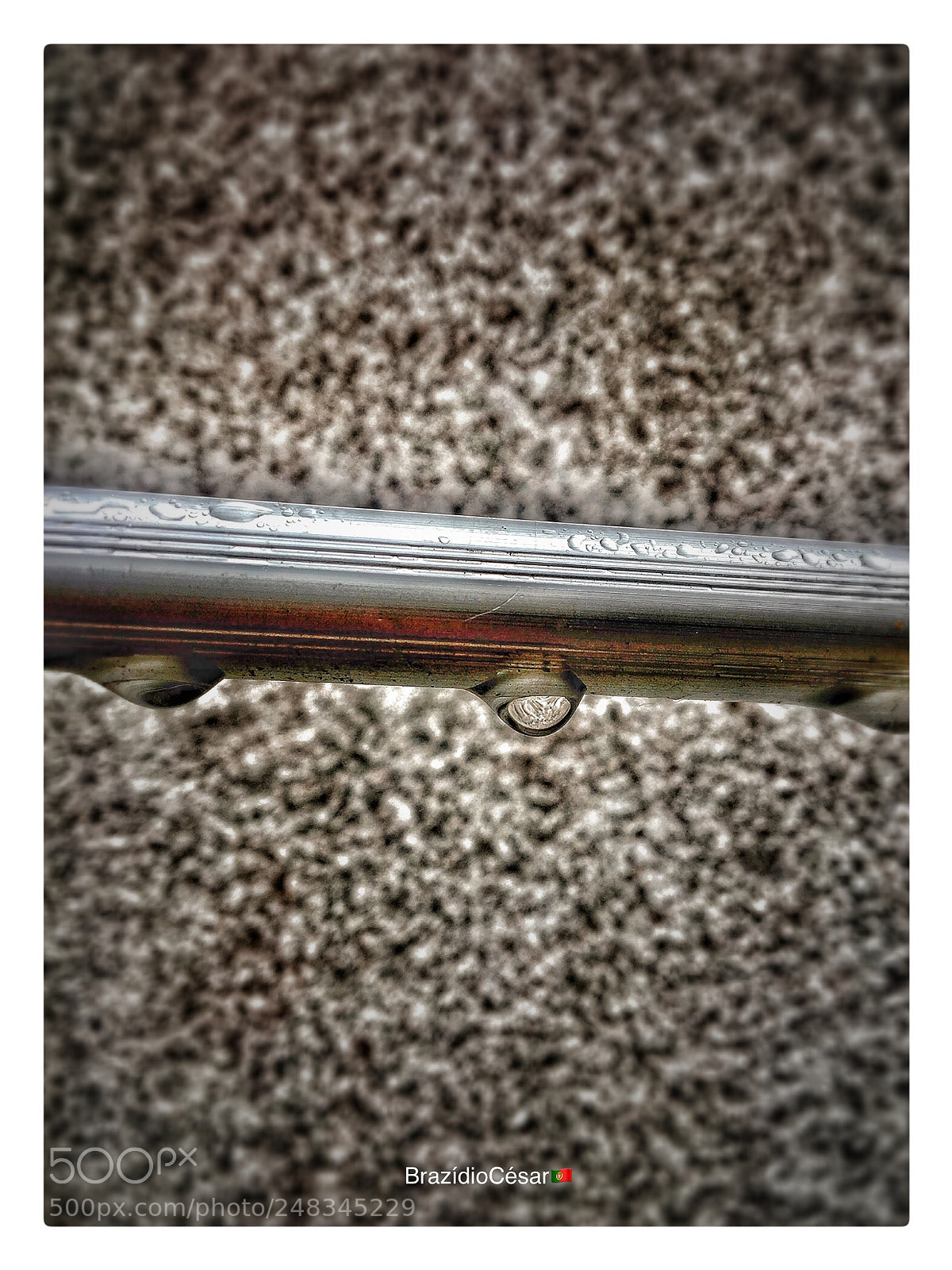 Apple iPhone 6s sample photo. Untitled photography