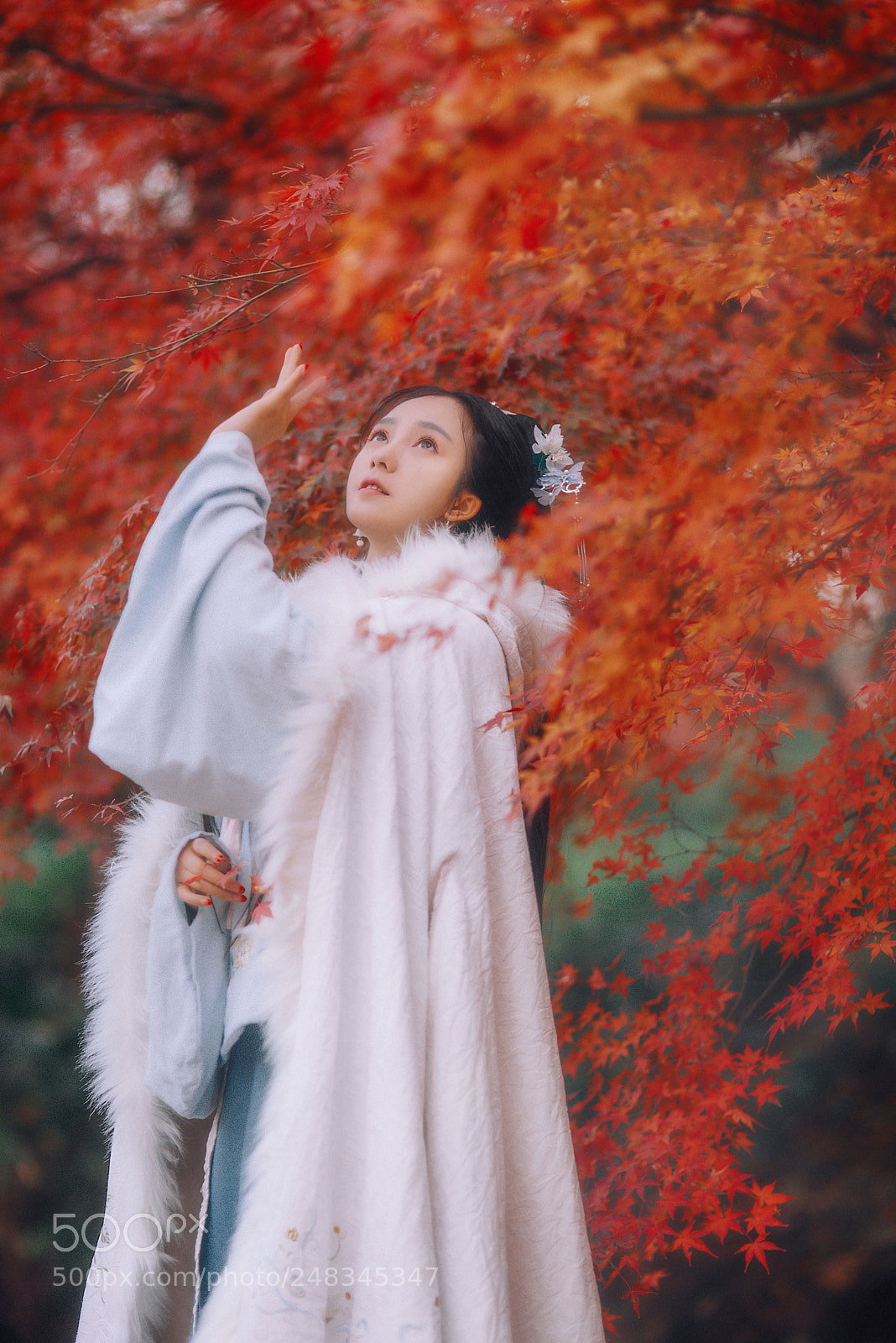 Nikon D800 sample photo. Untitled photography