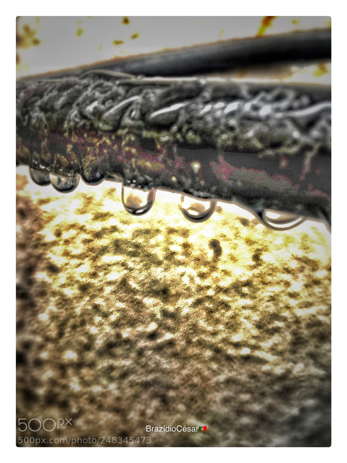 Apple iPhone 6s sample photo. Untitled photography