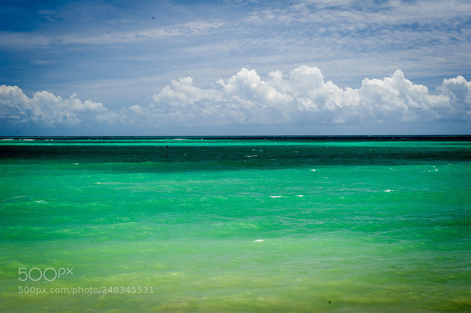 Nikon D3S sample photo. 50 shades of green photography