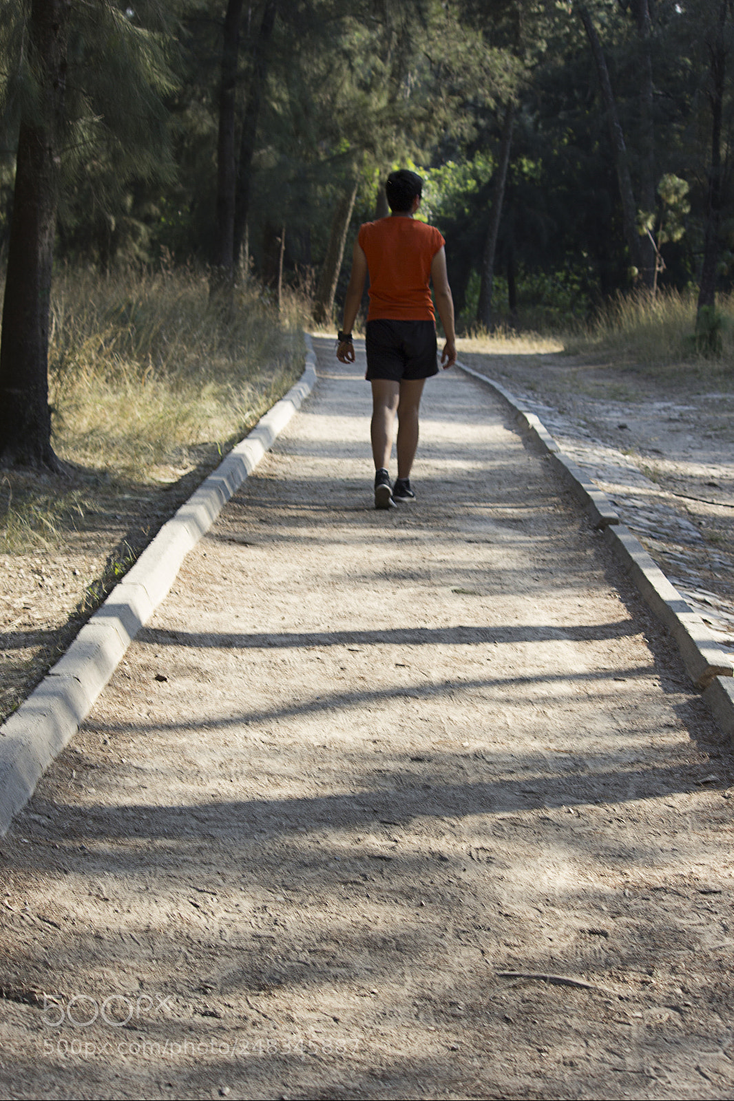 Canon EOS 60D sample photo. Perspectiva lineal photography