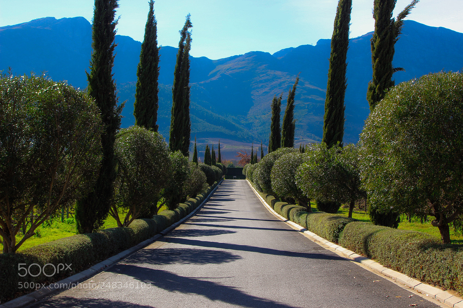 Canon EOS 600D (Rebel EOS T3i / EOS Kiss X5) sample photo. Winery road photography