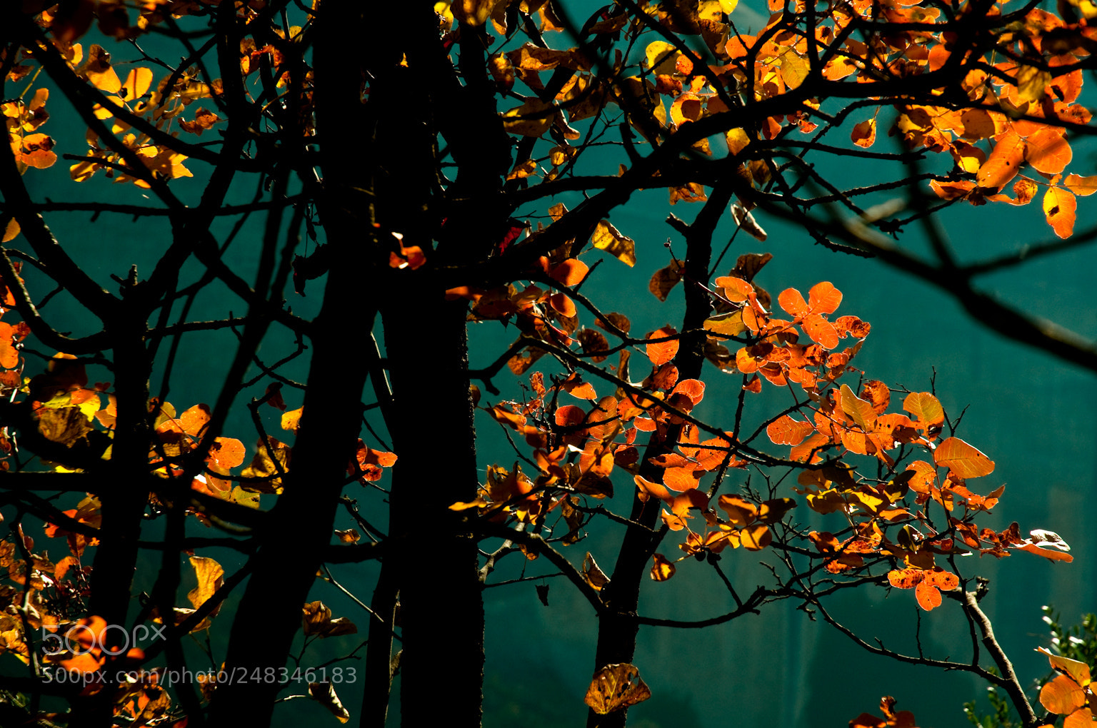 Nikon D90 sample photo. Light photography