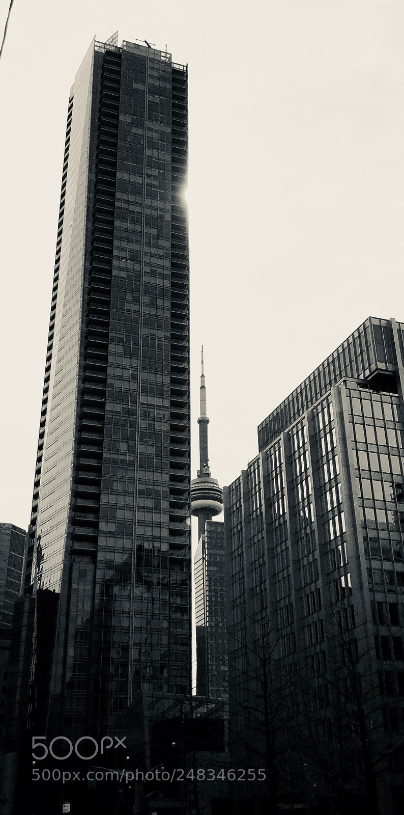 Apple iPhone 8 sample photo. The cn tower has photography