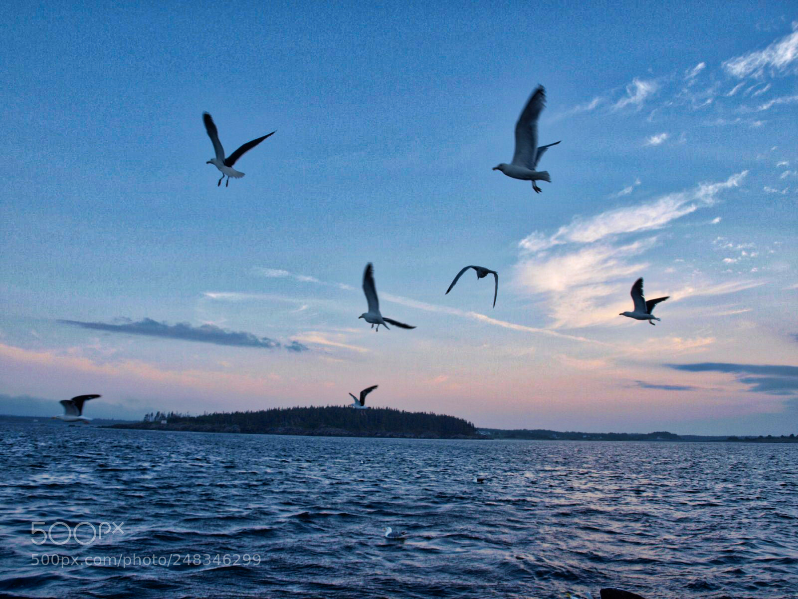 Olympus E-520 (EVOLT E-520) sample photo. This is gabarus by photography